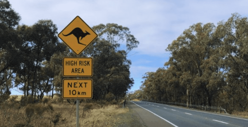 Billions in wage theft for migrant workers in Australia